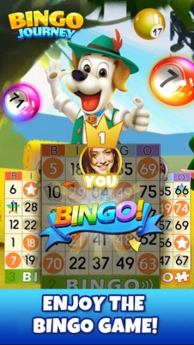 Bingo Journey