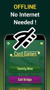 Call bridge offline & 29 cards