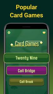 Call bridge offline & 29 cards