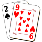 29 Card Game