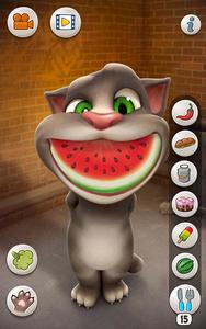 Talking Tom Cat