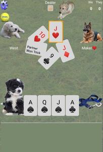 K9 Euchre