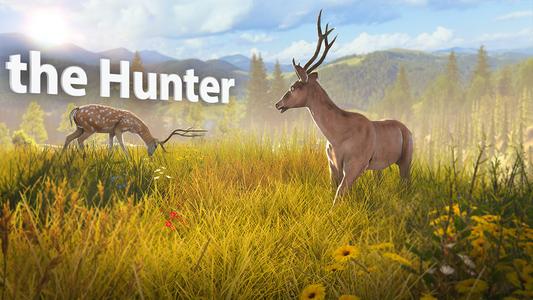 Deer Hunt Gun Games Offline