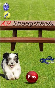 K9 Sheepshead (Schafkopf)