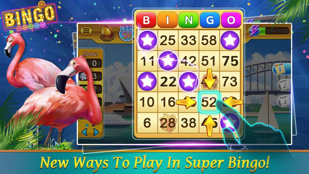 Bingo Happy HD