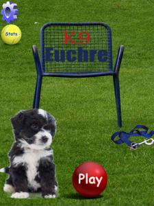 K9 Euchre