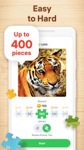 Jigsaw Puzzles