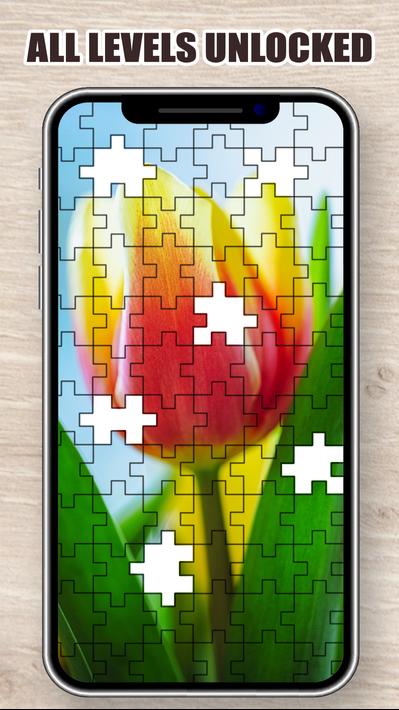 Jigsaw Puzzle - Offline Games