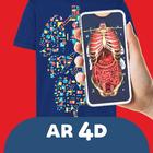 Anatomy AR