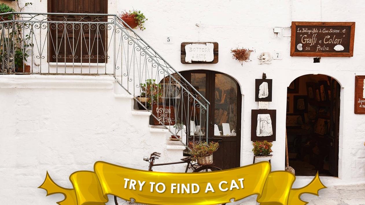 Find a Cat 3