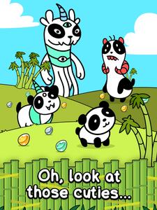 Panda Evolution