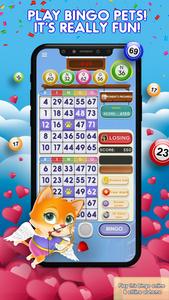 Bingo Pets