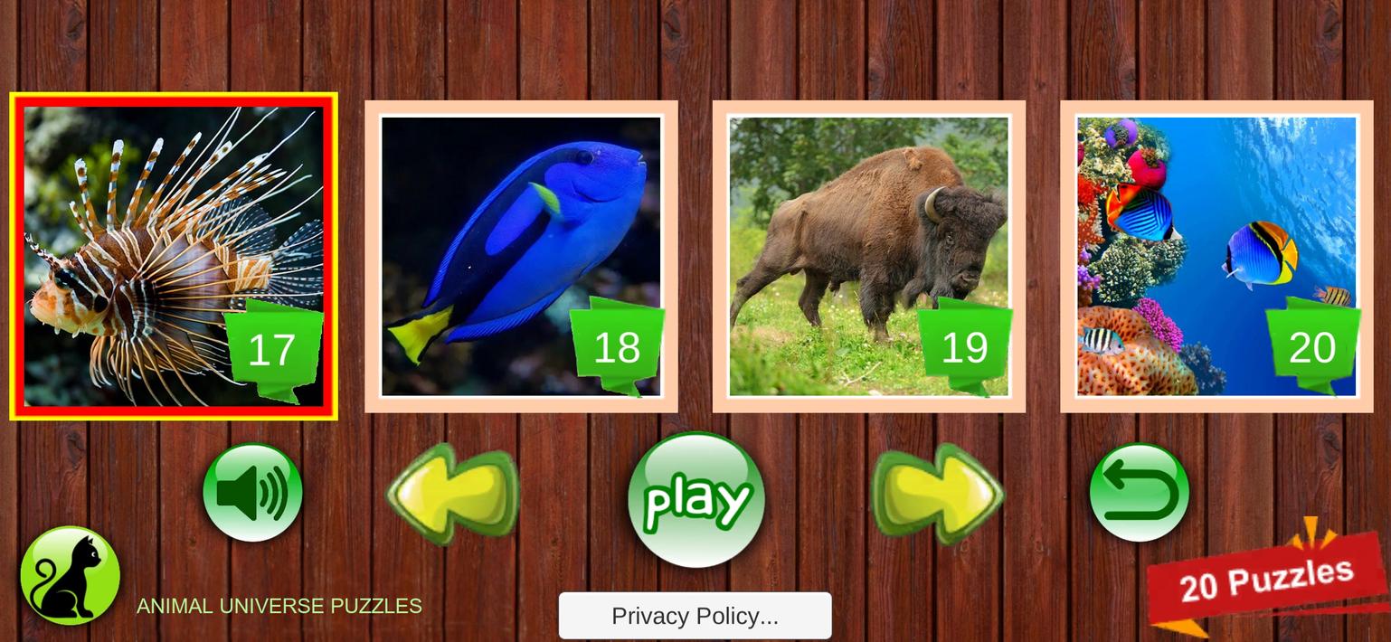 Animal Universe Puzzles