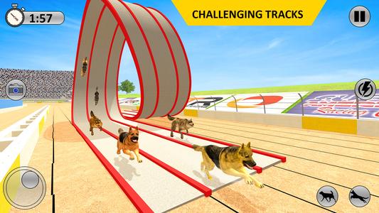 Greyhound 3D Dog Racing Fever