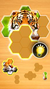 Jigsaw Puzzles Hexa