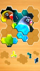 Jigsaw Puzzles Hexa