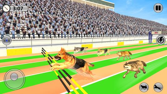 Greyhound 3D Dog Racing Fever