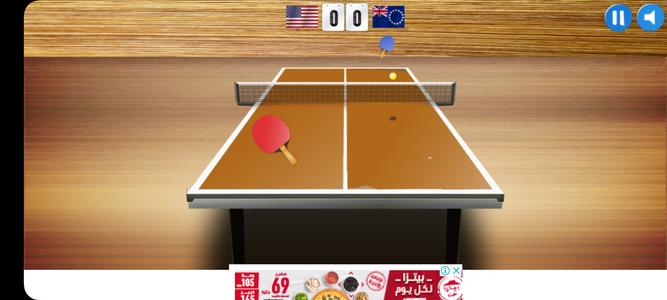 Ping Pong (Table Tennis)