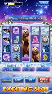 Slot Machine: Bear Slots