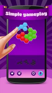 Hexa Puzzle Hero