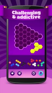 Hexa Puzzle Hero