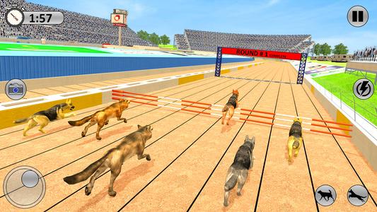 Greyhound 3D Dog Racing Fever