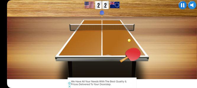 Ping Pong (Table Tennis)