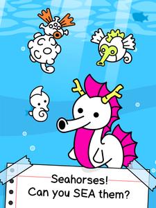 Seahorse Evolution