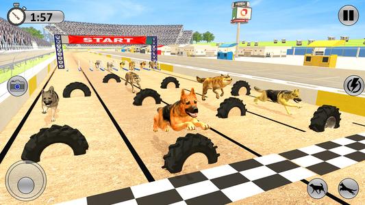 Greyhound 3D Dog Racing Fever