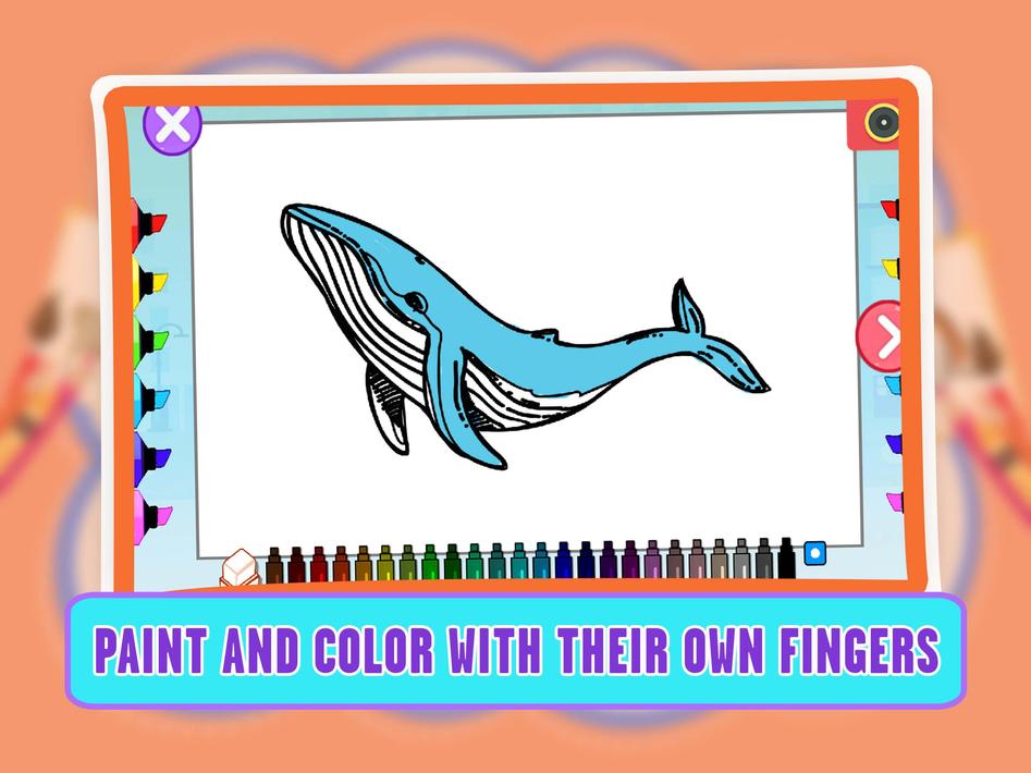 Learning Animal Coloring Games