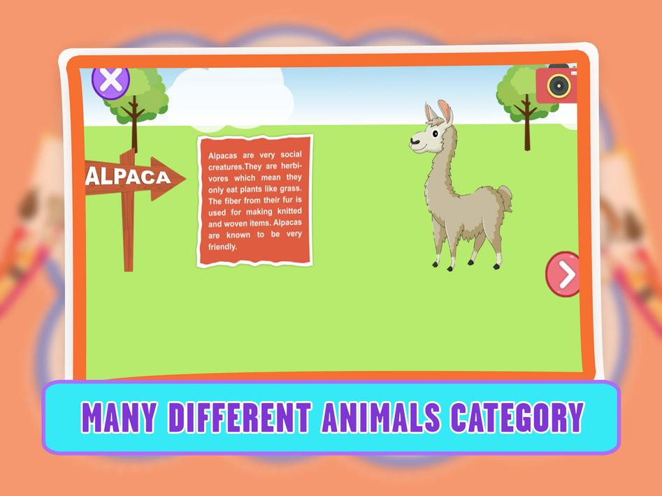 Learning Animal Coloring Games