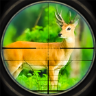 Wild Hunter Animal Hunting