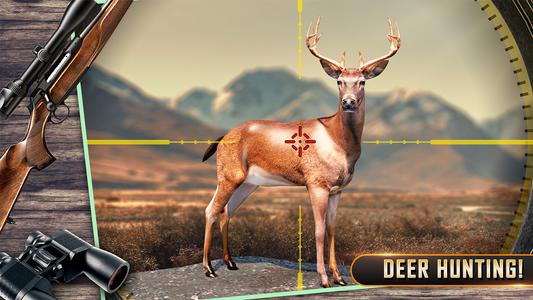 Wild Animal Hunting Games 3D