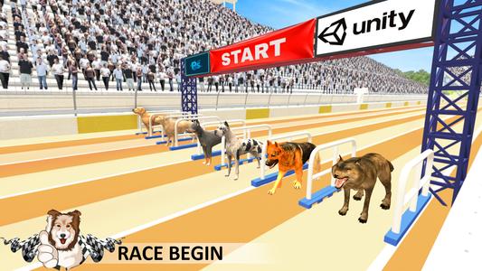 Greyhound 3D Dog Racing Fever