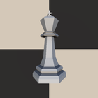 3D Chess Puzle