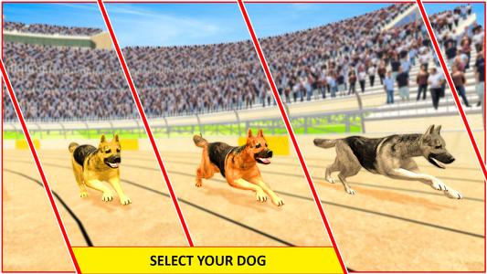 Greyhound 3D Dog Racing Fever