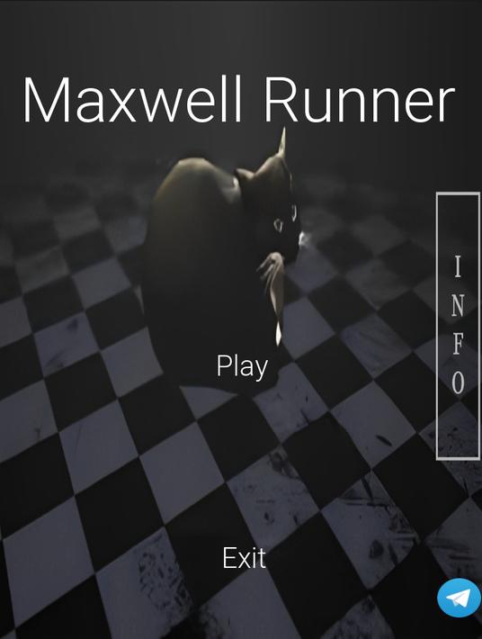 Maxwell Runner - maxwell cat