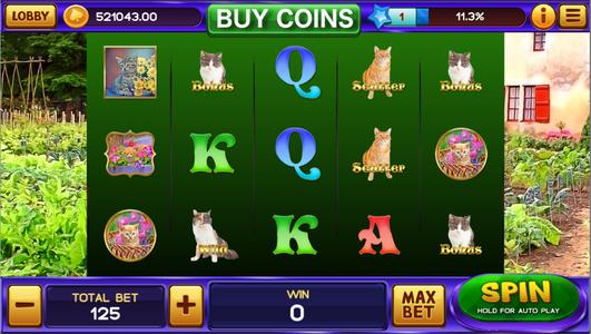 Kitten Slots