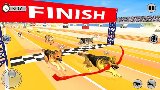 Greyhound 3D Dog Racing Fever