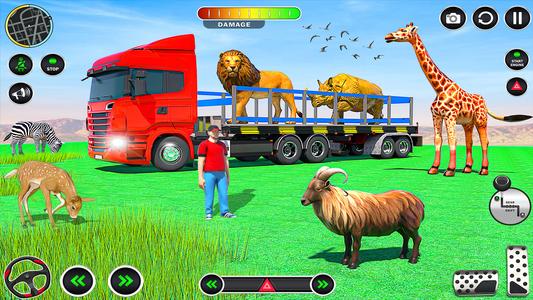 Animals Transport Truck Games