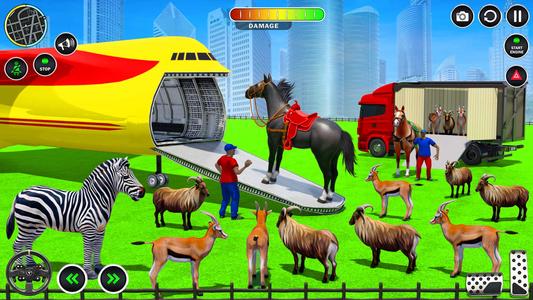 Animals Transport Truck Games