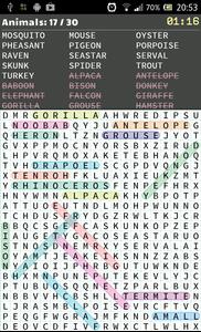 Word Search