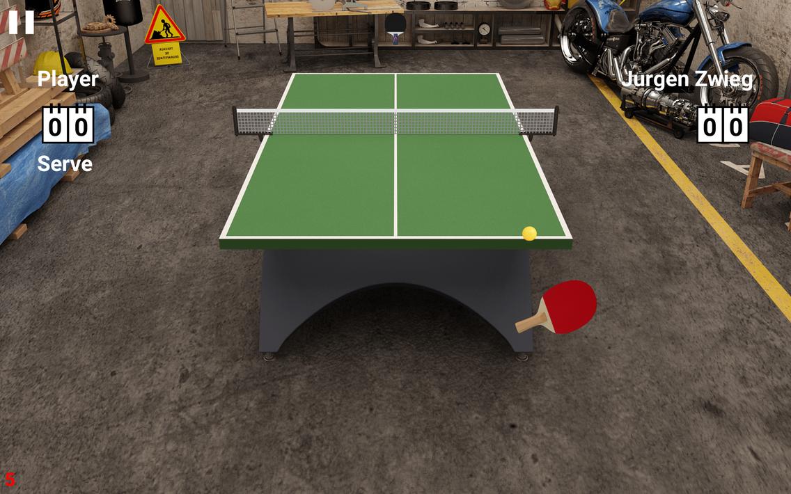 Virtual Table Tennis