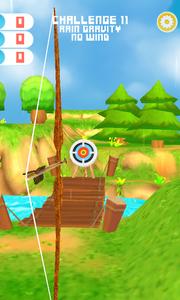 Archery Master Challenges