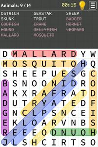 Word Search