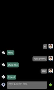 Ghost chat bot