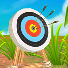 Archery Master Challenges