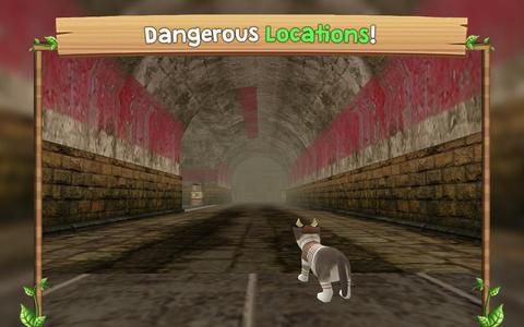 Cat Sim Online: Play with Cats