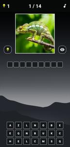 Animal Quiz: Guess the Animal