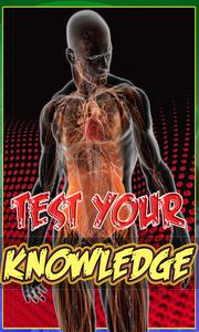 Human Anatomy Education Quiz